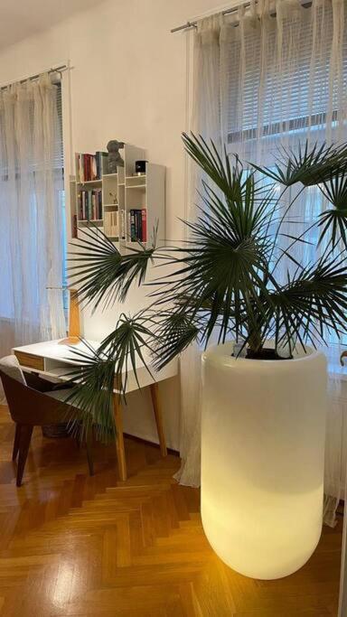 Charmante Innenstadtwohnung Apartment *